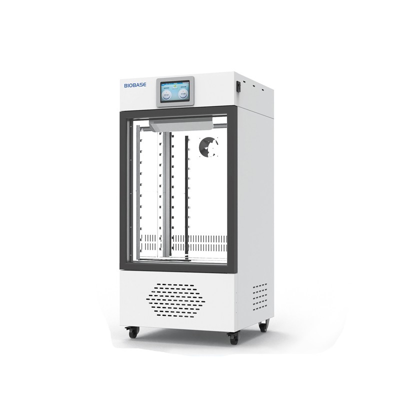 博科醫用恒溫箱BJPX-Y300